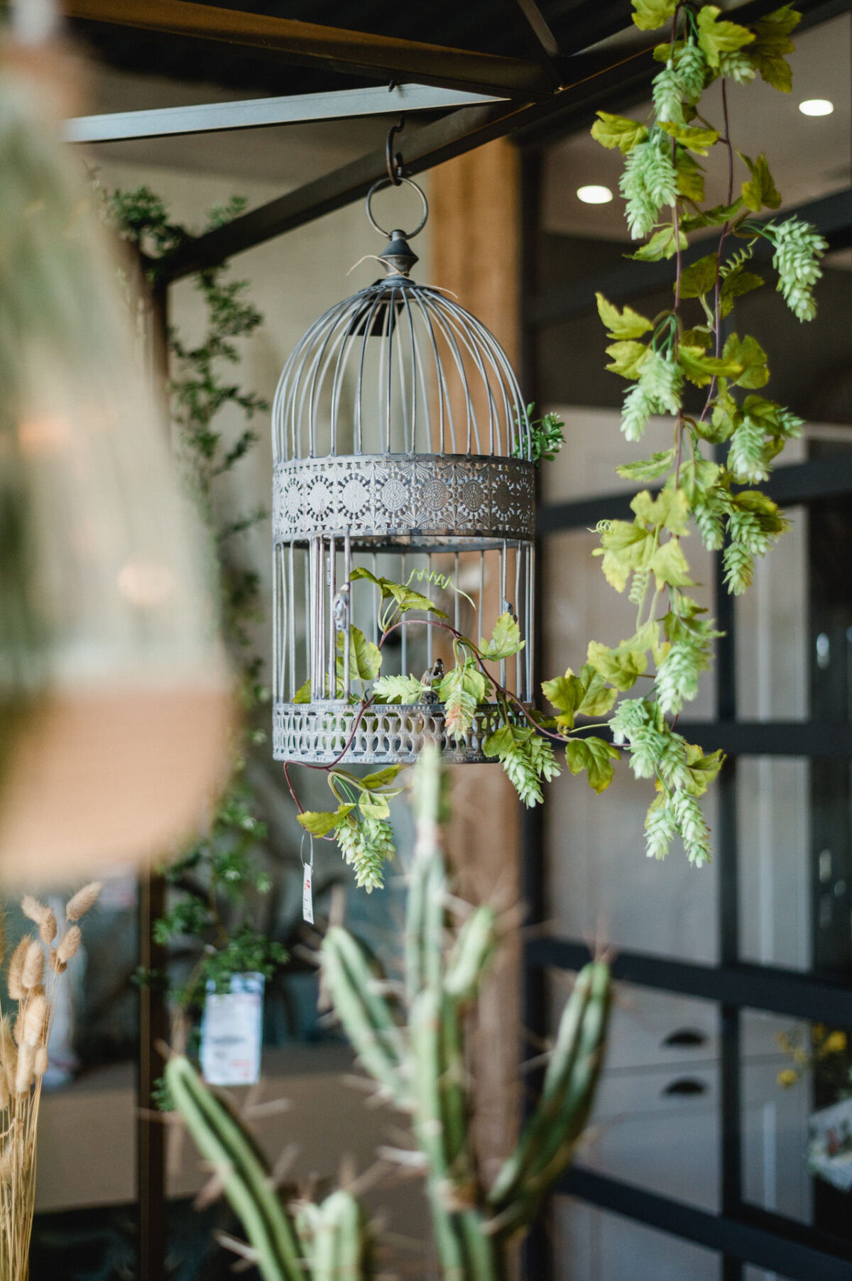 Christian Lorenz Fotograf Ein dekorativer leerer Vogelkäfig hängt inmitten von grünen Ranken und Pflanzen in einem gut beleuchteten Innenraum mit Glastüren und modernem Dekor. Christian Lorenz Fotograf Ein dekorativer leerer Vogelkäfig hängt inmitten von grünen Ranken und Pflanzen in einem gut beleuchteten Innenraum mit Glastüren und modernem Dekor.