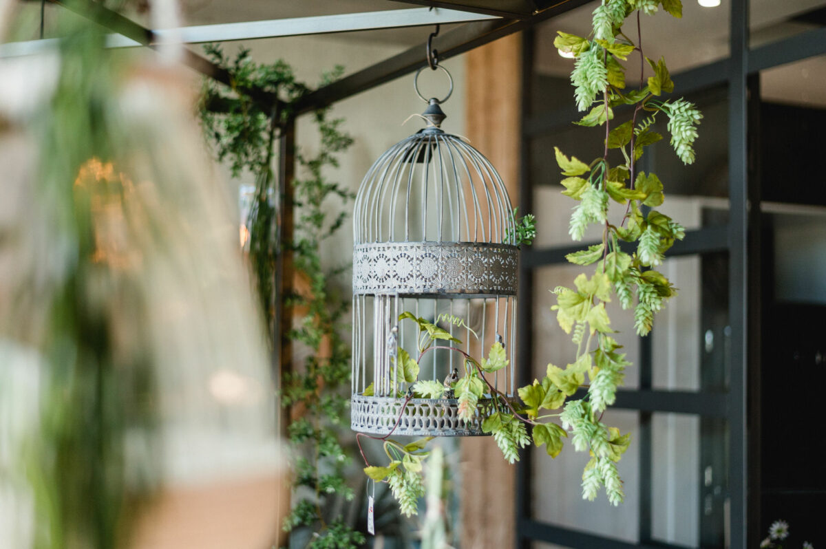 Christian Lorenz Fotograf Ein dekorativer leerer Vogelkäfig mit verschlungenen Metallarbeiten hängt zwischen grünen Blattranken im Haus und schafft eine frische und elegante Atmosphäre. Christian Lorenz Fotograf Ein dekorativer leerer Vogelkäfig mit verschlungenen Metallarbeiten hängt zwischen grünen Blattranken im Haus und schafft eine frische und elegante Atmosphäre.