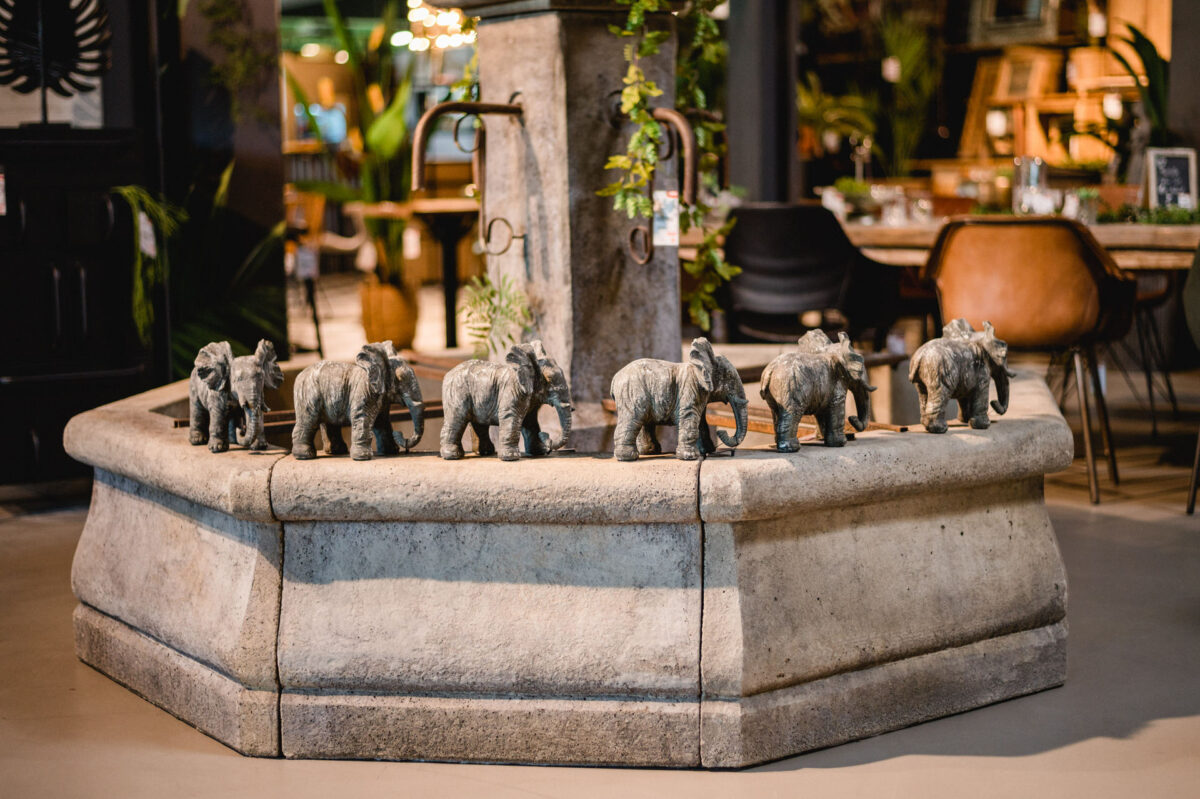 Christian Lorenz Fotograf Ein steinerner Brunnen mit sieben kleinen Elefantenstatuen, die in einer Reihe um den Brunnenrand herum angeordnet sind, in einem Innenraum mit Stühlen und Pflanzen im Hintergrund. Christian Lorenz Fotograf Ein steinerner Brunnen mit sieben kleinen Elefantenstatuen, die in einer Reihe um den Brunnenrand herum angeordnet sind, in einem Innenraum mit Stühlen und Pflanzen im Hintergrund.