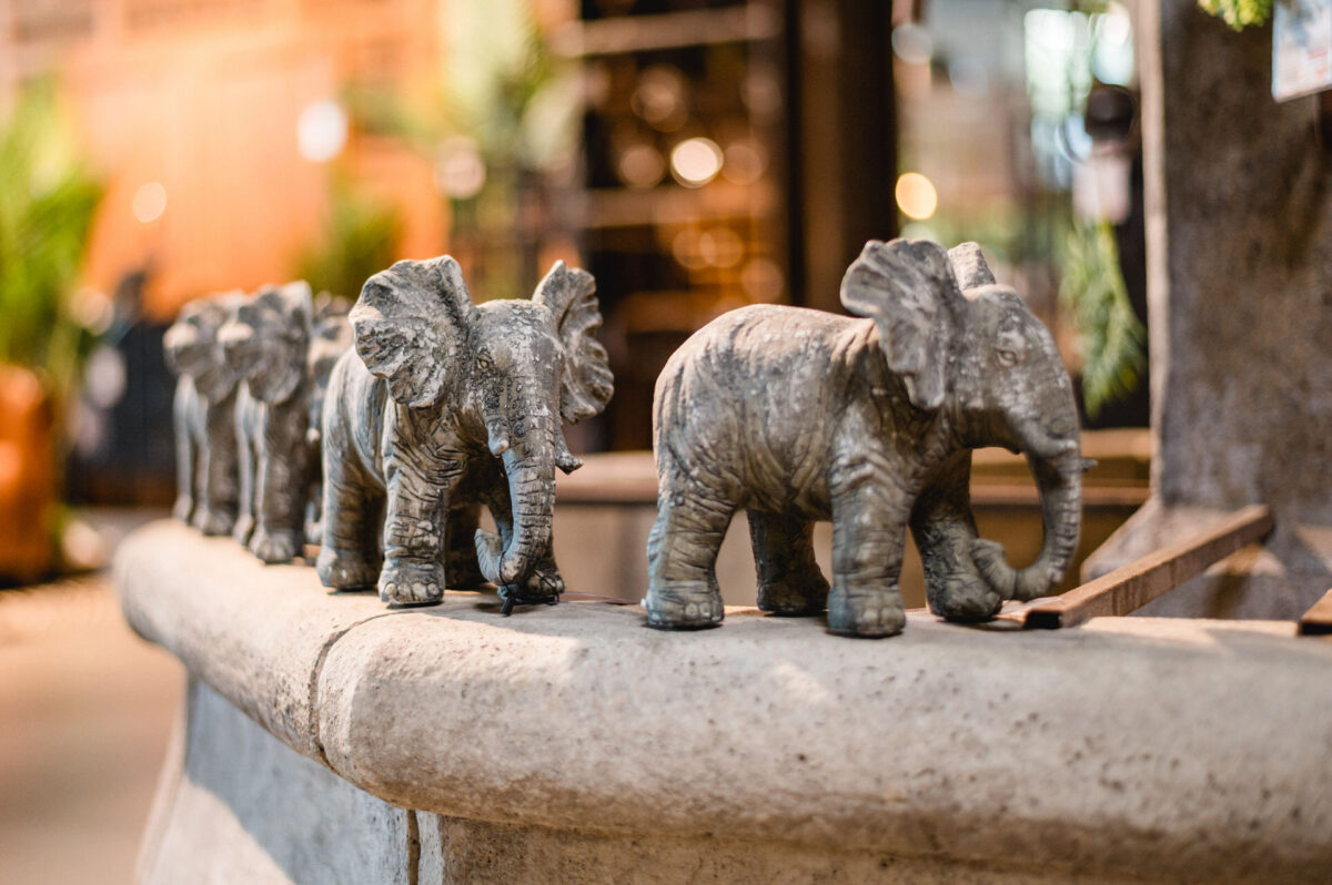 Christian Lorenz Fotograf Vier kleine, graue Elefantenfiguren stehen in einer Reihe auf einem Steinsims, vor einem verschwommenen Innenhintergrund mit Pflanzen und warmer Beleuchtung. Christian Lorenz Fotograf Vier kleine, graue Elefantenfiguren stehen in einer Reihe auf einem Steinsims, vor einem verschwommenen Innenhintergrund mit Pflanzen und warmer Beleuchtung.
