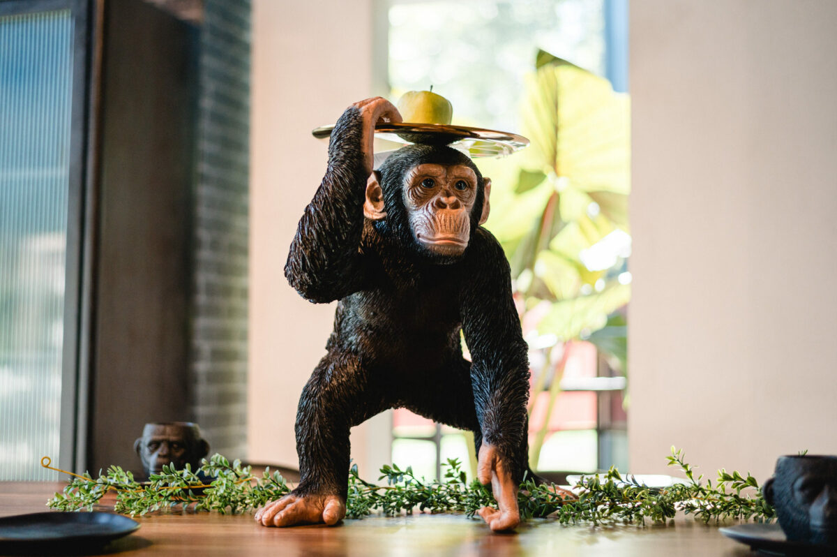 Christian Lorenz Fotograf Eine realistische Schimpansenskulptur steht auf einem Tisch und hält ein Metalltablett mit einem grünen Apfel in der erhobenen Hand. Im Hintergrund sind Pflanzen und große Fenster zu sehen, durch die Sonnenlicht einfällt. Christian Lorenz Fotograf Eine realistische Schimpansenskulptur steht auf einem Tisch und hält ein Metalltablett mit einem grünen Apfel in der erhobenen Hand. Im Hintergrund sind Pflanzen und große Fenster zu sehen, durch die Sonnenlicht einfällt.