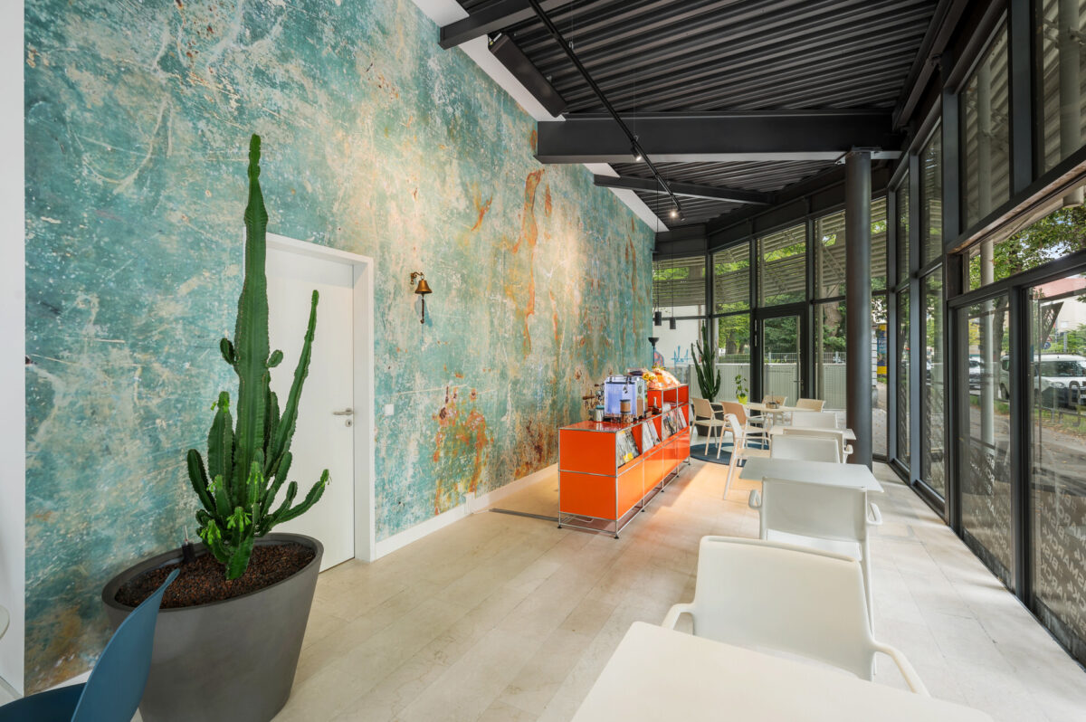 Christian Lorenz Fotograf Modernes Café-Interieur mit einem hohen Topfkaktus, weißen Tischen und Stühlen, einem orangefarbenen Tresen und großen Fenstern. Die Wände sind mit einem strukturierten blau-grünen Kunstdesign versehen, und natürliches Licht erfüllt den Raum. Christian Lorenz Fotograf Modernes Café-Interieur mit einem hohen Topfkaktus, weißen Tischen und Stühlen, einem orangefarbenen Tresen und großen Fenstern. Die Wände sind mit einem strukturierten blau-grünen Kunstdesign versehen, und natürliches Licht erfüllt den Raum.